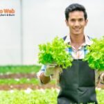 Vegetables Farm Worker Jobs in Canada